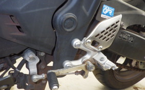 YAMAHA YZF-R25 RG10J