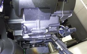 HONDA CL250-2 2009 MC57