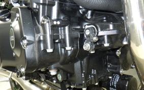 KAWASAKI Z900RS CAFE 2025