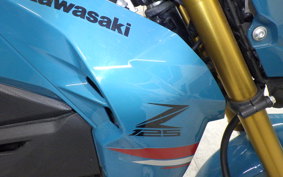 KAWASAKI Z125 PRO 2022 BR125H