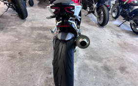 DUCATI 1199PANIGA-RES 2013