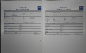 SUZUKI GSX-R1000R A 2021 DM11G