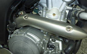 YAMAHA WR250X 2024