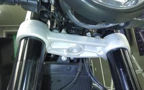 TRIUMPH SPEED TWIN 2024