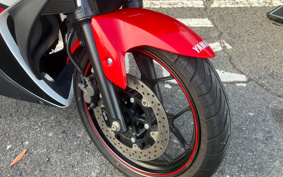 YAMAHA YZF-R25 RG10J