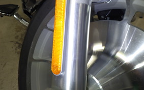 HARLEY FLSTFI1920 2025