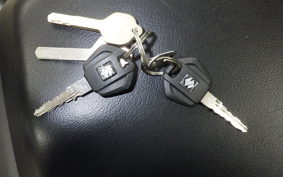 SUZUKI ｼﾞｸｻｰ250SF 2023 ED22Y