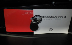 HARLEY FXLRST1920 2022