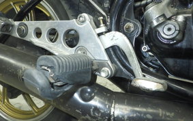 YAMAHA RZ 250 2019 4L3