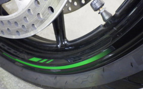 KAWASAKI NINJA 1000SX 2024 ZXT02K