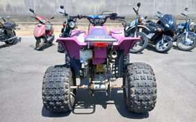 YAMAHA YF200S 3JM