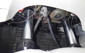 YAMAHA FZR250 Gen.2 R 3LN