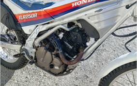 HONDA TLR250R MD18