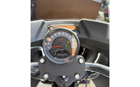HARLEY FXLRST 2026 YXA