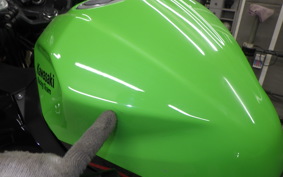 KAWASAKI NINJA 400 2019 EX400G