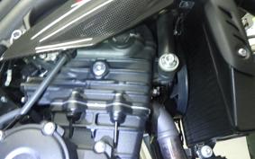 TRIUMPH SPEED TRIPLE RS 2019