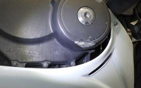 HONDA HORNET 250 2024 MC31