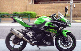 KAWASAKI NINJA 250 EX250P