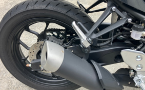 YAMAHA YZF-YZF-R3 ABS 2025 RH21J