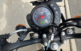 KAWASAKI W175 BJHD1B