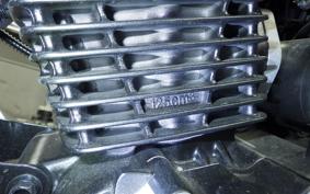 OTHER +UNREGISTERED MODEL by BDS125