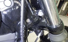 HARLEY FXBBS1870 2021