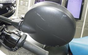 KAWASAKI W800 CAFE 2020 EJ800B