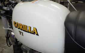 HONDA GORILLA 2009 AB27