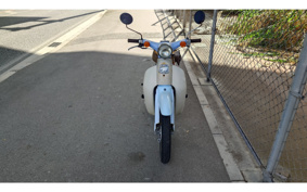 HONDA LITTLE CUB AA01