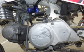 HONDA MONKEY BAJA 2018 Z50J