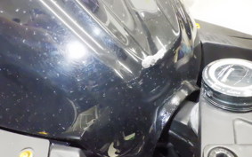 KAWASAKI NINJA 250 EX250L