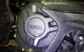 YAMAHA YZF-R25 2014 RG43J