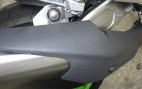 KAWASAKI ZX-4RR 2024 ZX400P