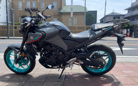 YAMAHA MT-25 RG74J
