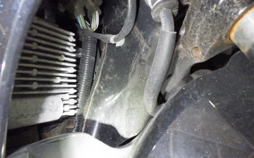 HONDA LEAD 125 2025 JF45