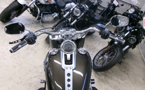 HARLEY FLFBS 2020 YGK