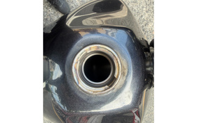SUZUKI DJEBEL250XC SJ45A
