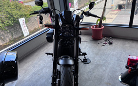 HARLEY FXDR114 2019 YVK
