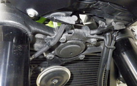 KAWASAKI Z900 Gen.2 2019 ZR900B