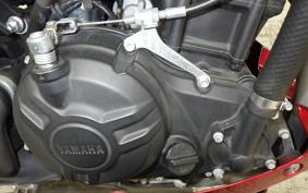 YAMAHA MT-25 2018 RG10J