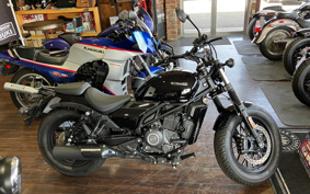 OTHER CFMOTO 250CL-C