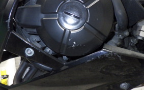 KAWASAKI Z250 2019 ER250C