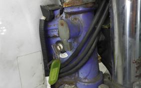 YAMAHA TT250R RAID 4GY