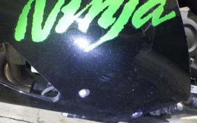 KAWASAKI ZX 1400 NINJA R A 2020
