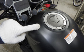 HONDA REBEL 250 A 2024 MC49