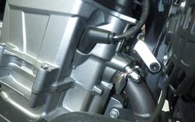 HONDA HAWK 11 2022 SC85