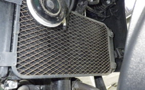 SUZUKI Vｽﾄﾛｰﾑ250A 2013