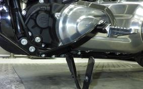 HARLEY FXST1750 2022