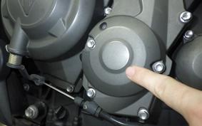 TRIUMPH TRIDENT 660 2022
