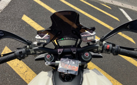 DUCATI STREET FIGHTER 2010 ZDMF100AA9B